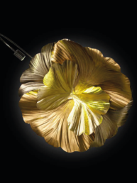ARANDELA-MINERALLI-SEIS-FOLHAS